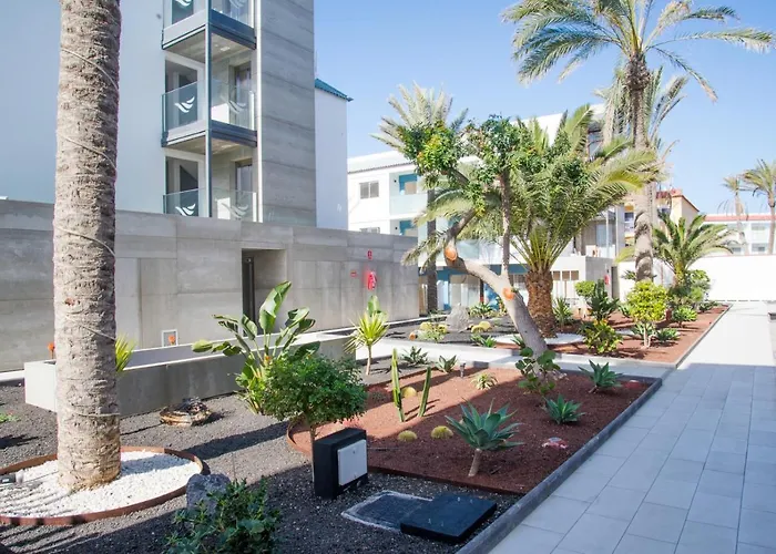 Abubilla Holidayfv *