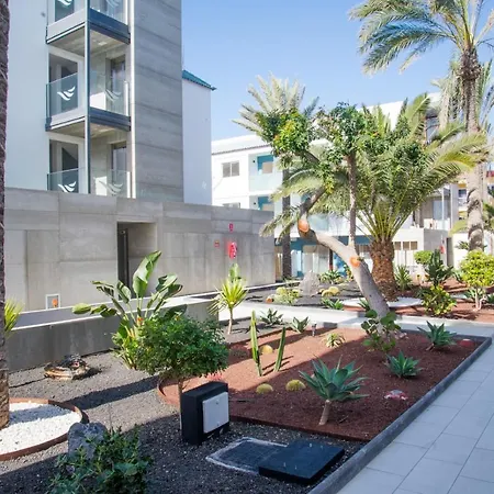 Abubilla Holidayfv *